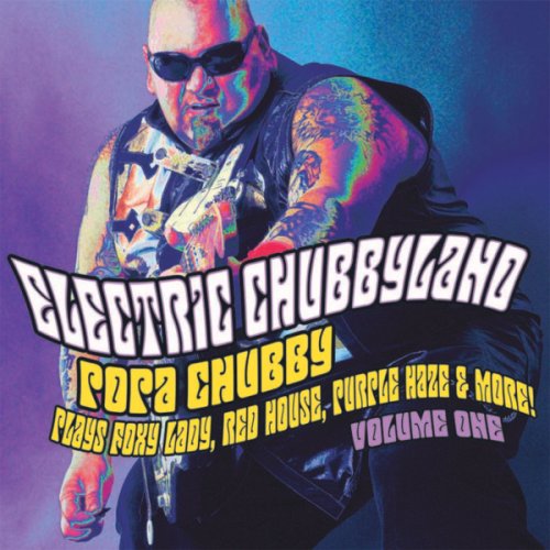 CD-Charts  Music : Electric Chubbyland, Vol. 1