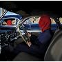 Frances the Mute