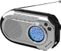 WeatherX RWB8817DT Hand Crank Emergency Weatherband and AM/FM Radio