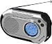 WeatherX RWB8817DT Hand Crank Emergency Weatherband and AM/FM Radio