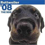 THE DOG Artlist - Rottweiler 2008 Wall Calendar