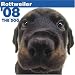   - THE DOG Artlist - Rottweiler 2008 Wall Calendar