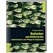 Salmler aus S�damerika: Lebensr�ume und Pflege im Aquarium