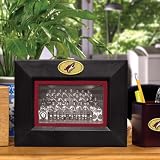 Memory Company Phoenix Coyotes Landscape Picture Frame