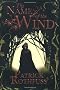 The Name of the Wind (The Kingkiller Chronicle)