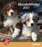 Hundekinder 2011