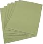DII Garden Grove Sage Placemat, Set of 6