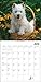 2016 Westies Calendar