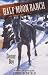 Danny Boy (Horses Of Half Moon Ranch)