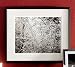 Pottery Barn PB Chris Honeysett - Winter, Dunsmuir 1997, California