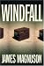 Windfall: A Novel