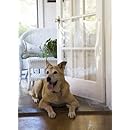 The Door Shield - Pet Scratch Protector