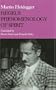 Hegel's Phenomenology of Spirit (Studies in Phenomenology and Existential Philosophy)