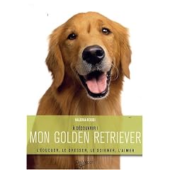 Mon golden retriever