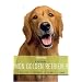 Mon golden retriever