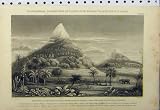 C1890 Geographical Plants Altitude Climate Mountains