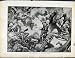 Boer War By Richard Danes Cornwalls River Bank Print