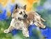 Cairn Terrier Dog Art Print Signed by Artist DJ Rogers