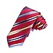 DAE7A04-06 Mens Microfiber Gift Giving Stripes Working Slim Necktie By Dan Smith