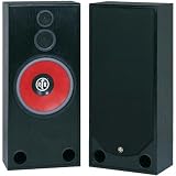 BIC AMERICA RTR-1530 15-Inch 3-Way Floor Standing Speakers (BIC AMERICA RTR1530)