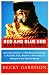 Red and Blue God, Black and Blue Church: Eyewitness Accounts of How American Churches are Hijacking Jesus, Bagging the Beatitudes, and Worshipping the Almighty Dollar