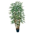 Bamboo Silk Tree 5'