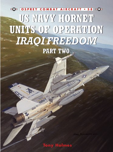 US Navy Hornet Units of Operation Iraqi Freedom (Part Two): Pt.2 (Combat Aircraft)