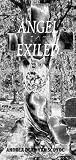 Angel Exiled