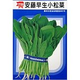 生食サラダでも味が良い!安藤早生小松菜　数量:10ml