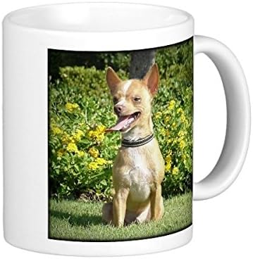 TimetoShine Chi Chi - Happiness Is The Love Of An Adopted Chih Classic White Coffee Mug
