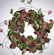 22" Coleus and Fern Wreath