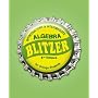 Introductory & Intermediate Algebra for College Students (3rd Edition)