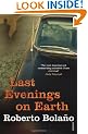 Last Evenings On Earth