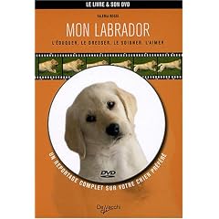 Mon labrador (1DVD)