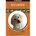 Mon labrador (1DVD)