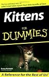 Kittens for Dummies