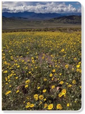 ECOeverywhere Death Valley in Bloom Sketchbook, 160 Pages, 5.625 x 7.625 Inches (sk14366)