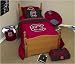 NCAA South Carolina Gamecocks Bed in a Bag