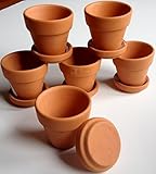 Mini Terra Cotta Pots with Saucers -- Set of 6