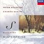 Schubert: Winterreise