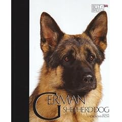 German Shepherd Dog (Best of Breed)