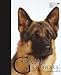German Shepherd Dog (Best of Breed)