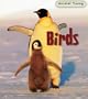 Birds (Animal Young)