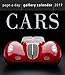 Cars Page-A-Day Gallery Calendar 2017