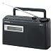 Panasonic RF-U300EG-K Tragbares Radio schwarz