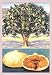 Fig Tree 20x30 poster - Prints - 08640-8P2030