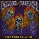 What Doesnt Kill You