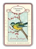 Cavallini Christmas Birds Glitter Greetings, 12 Assorted Postcards