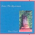 Enter the Mysterium