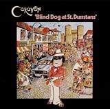 Blind Dog at St Dunstans